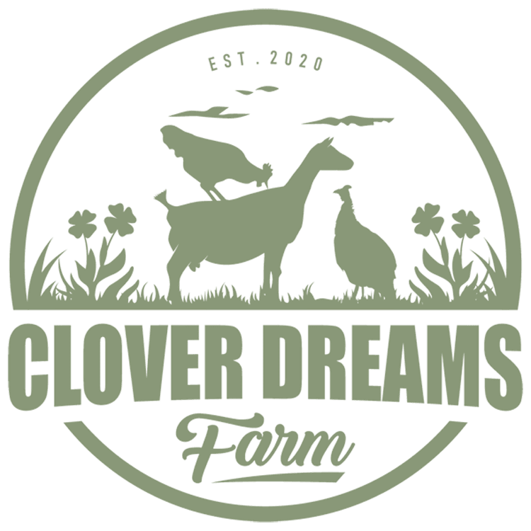 Clover Dreams Farm